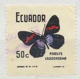 [Butterflies, type BBF]