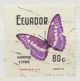 [Butterflies, type BBH]