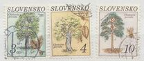 [Nature Conservation - Tree, type CH]