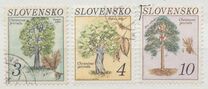 [Nature Conservation - Tree, type CI]