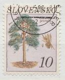 [Nature Conservation - Tree, type CI]