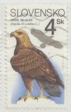 [Nature Conservation - Birds of Prey, Scrivi DH]