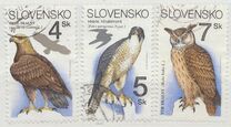 [Nature Conservation - Birds of Prey, Scrivi DH]