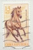 [Horses - Chlumetzer Dun & Chlumetzer Palomino, Tip ACV]