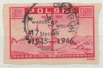 [The 1st Anniversary of the Liberation of Warsaw, タイプ HG]