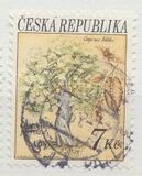 [Trees - Nature Conservation, type Y]