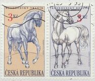 [Kladrubski Horses, Typ DR]
