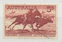 [Northern Territory Cattle Breeding, tegund GE]