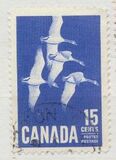 [Canada Geese, type JI]