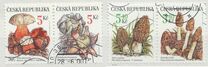 [Nature Conservation - Mushrooms, type IV]