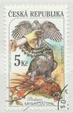 [Wildlife Protection Throughout History, type JE]