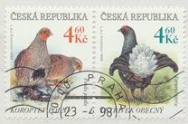 [Endangered Animals, type FV]