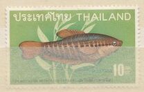 [Thai Fish, type KW]