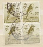 [Burmese Birds, tyyppi DJ2]
