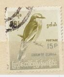 [Burmese Birds, tyyppi DJ2]