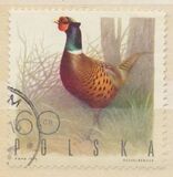 [Bird Game, type BGV]