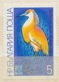 [Birds - EXPO `81 Plovdiv, Tipi DBS]