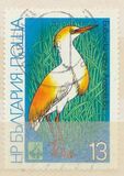 [Birds - EXPO `81 Plovdiv, Tipi DBU]