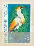 [Birds - EXPO `81 Plovdiv, Tipi DBU]