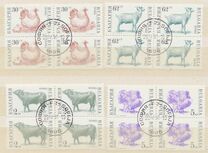 [Domestic Animals, type EKH]