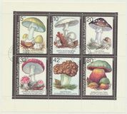 [Poisonous Mushrooms, type EKM]
