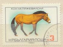 [Horse Breeds, 類型 DAO]