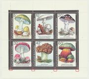 [Poisonous Mushrooms, type EKM]