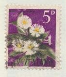 [Local Motifs - Flowers, Вид GX]