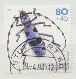 [Youth Hostel - Insects, tip BCI]