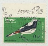[Airmail - Birds, tip IQ]
