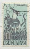 [Water Birds, タイプ ZA]