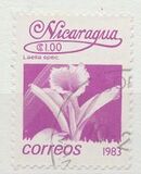 [Flowers, type BGS]