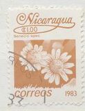 [Flowers, type BGJ]