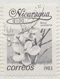 [Flowers, type BGP]