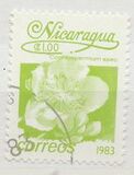 [Flowers, type BGL]