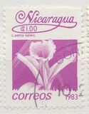 [Flowers, type BGS]