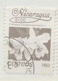 [Flowers, type BGN]