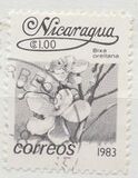 [Flowers, type BGP]