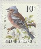 [Birds, Вид BNI]
