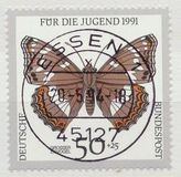 [Youth Hostel - Butterflies, Tip AWK]