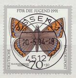 [Youth Hostel - Butterflies, Tip AWM]