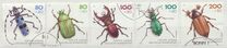 [Youth Hostel - Insects, Scrivi BCI]