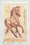 [Horses - Chlumetzer Dun & Chlumetzer Palomino, Tip ACV]