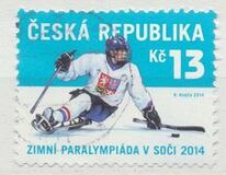 [Winter Paralympics - Sochi, Russia, Tipi ADH]