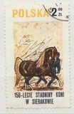 [The 150th Anniversary of Horse Riding in Sieraków, typ CGT]