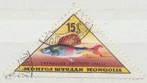 [Fish, type JM]
