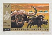 [Akagera National Park, Вид MD]