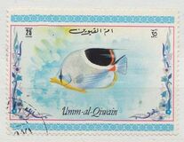 [Tropical Fish, տեսակ ACK]