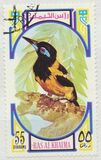 [Birds, тып UD]