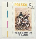 [The 150th Anniversary of Horse Riding in Sieraków, タイプ CGS]